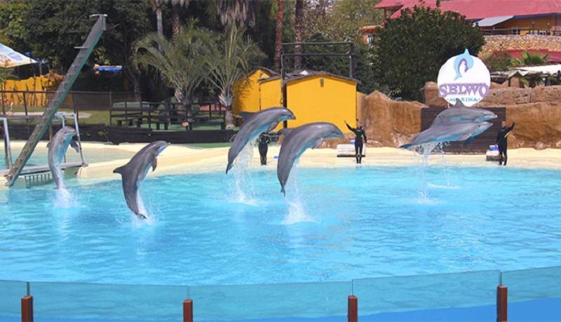 Paseo Maritimo Los Boliches. Fuengirola Exterior photo